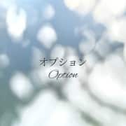 玩具のオプション